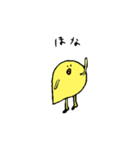 いつものひよこ（個別スタンプ：31）