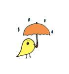 いつものひよこ（個別スタンプ：34）