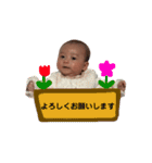 shokotenn stamp（個別スタンプ：13）