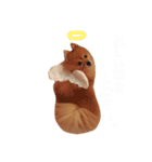 ポメラニアン『チクといっしょ。』（個別スタンプ：24）