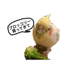 もんすも（個別スタンプ：1）