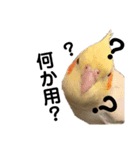 もんすも（個別スタンプ：2）