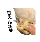 もんすも（個別スタンプ：3）