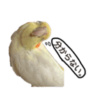 もんすも（個別スタンプ：4）