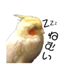もんすも（個別スタンプ：5）
