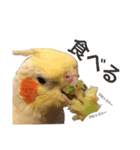 もんすも（個別スタンプ：7）