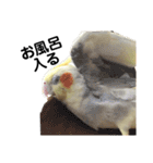 もんすも（個別スタンプ：20）