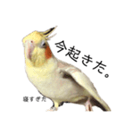 もんすも（個別スタンプ：21）