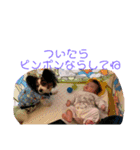 fumifumi1010（個別スタンプ：11）