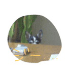 小雪とおはぎ（個別スタンプ：8）