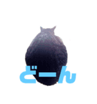 ペケにゃん♪ その3（個別スタンプ：3）