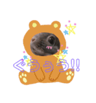うさぎのぐうちゃん（個別スタンプ：10）