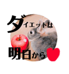 うさぎのぐうちゃん（個別スタンプ：11）