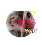 うさぎのぐうちゃん（個別スタンプ：13）