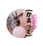 うさぎのぐうちゃん（個別スタンプ：14）