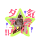 うさぎのぐうちゃん（個別スタンプ：16）