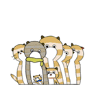 まんまるかぞく（個別スタンプ：40）