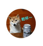 まめしばごん太（個別スタンプ：14）
