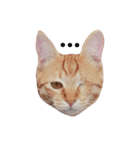 片目猫みちる2（個別スタンプ：2）