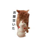 片目猫みちる2（個別スタンプ：3）