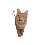 片目猫みちる2（個別スタンプ：4）