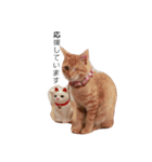 片目猫みちる2（個別スタンプ：7）