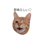 片目猫みちる2（個別スタンプ：9）
