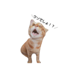 片目猫みちる2（個別スタンプ：10）