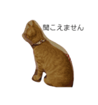 片目猫みちる2（個別スタンプ：12）