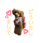 トイプードルうめちゃん③（個別スタンプ：2）