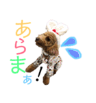 トイプードルうめちゃん③（個別スタンプ：28）