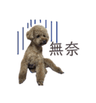コヒーの面白いライフ-（個別スタンプ：21）