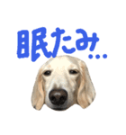 我が家のもーちゃん2（個別スタンプ：6）