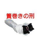 甲斐犬の海里さん（個別スタンプ：38）