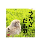 もり＆かわらの可愛いスタンプ24（個別スタンプ：19）