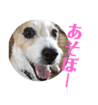 ジャック 2（個別スタンプ：1）