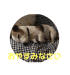 ジャック 2（個別スタンプ：7）