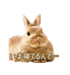 きなんぷ（個別スタンプ：3）