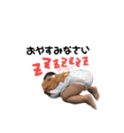 孫さんず（個別スタンプ：3）