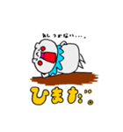 「だぐま」のスタンプ（個別スタンプ：33）