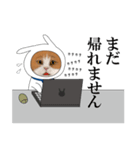 働く ねこ50%（個別スタンプ：34）