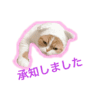 ドンノブボム④（個別スタンプ：7）