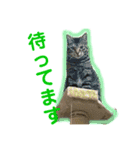 ドンノブボム④（個別スタンプ：11）