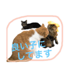 ドンノブボム④（個別スタンプ：16）