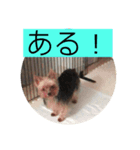 クレアレフィガルフィのスタンプ③（個別スタンプ：1）