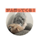 クレアレフィガルフィのスタンプ③（個別スタンプ：3）