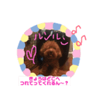 大人になったマロンちゅわん2（個別スタンプ：16）
