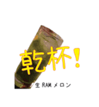 NNN RECORDS 1（個別スタンプ：1）