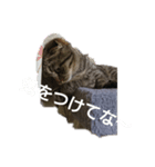 私、こまちです。（個別スタンプ：5）