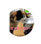 パッチスタンプ（個別スタンプ：2）